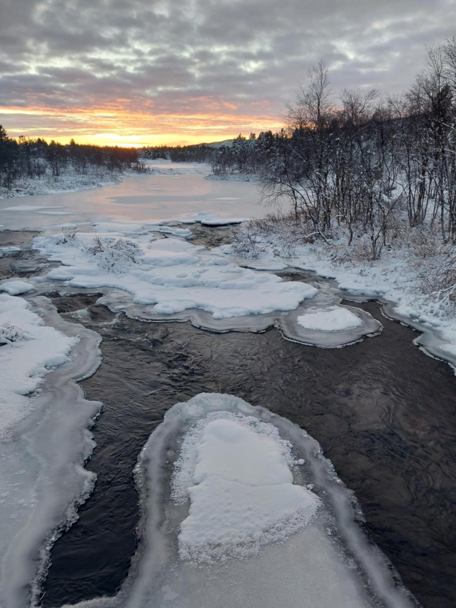 Muotkan Ruoktu Tunturikyla Inari Exterior foto